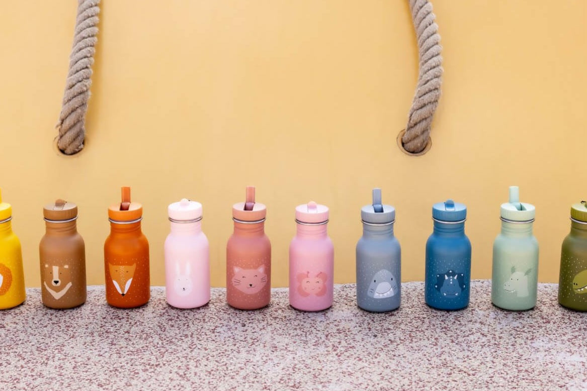 Trixie Stainless Steel Bottles 350ml