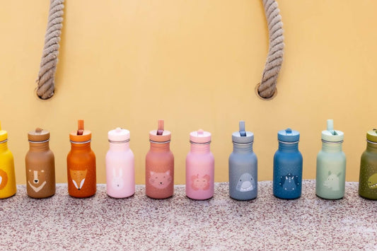 Trixie Stainless Steel Bottles 350ml