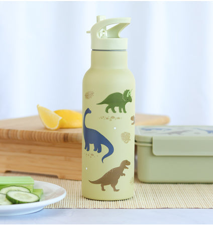 Insulated Stainless Steel Drink Bottle - Dinosaurs