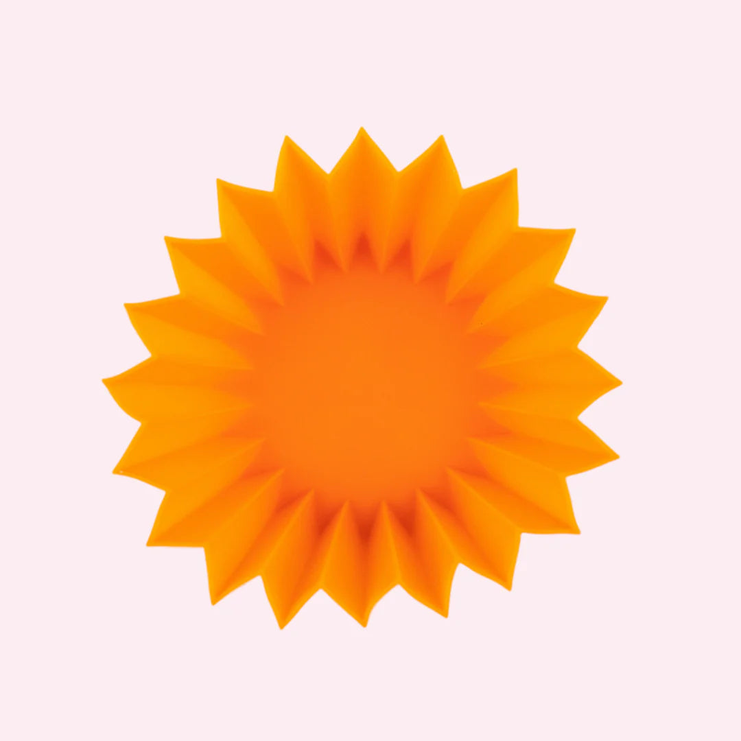 Halloween cutter and bento set