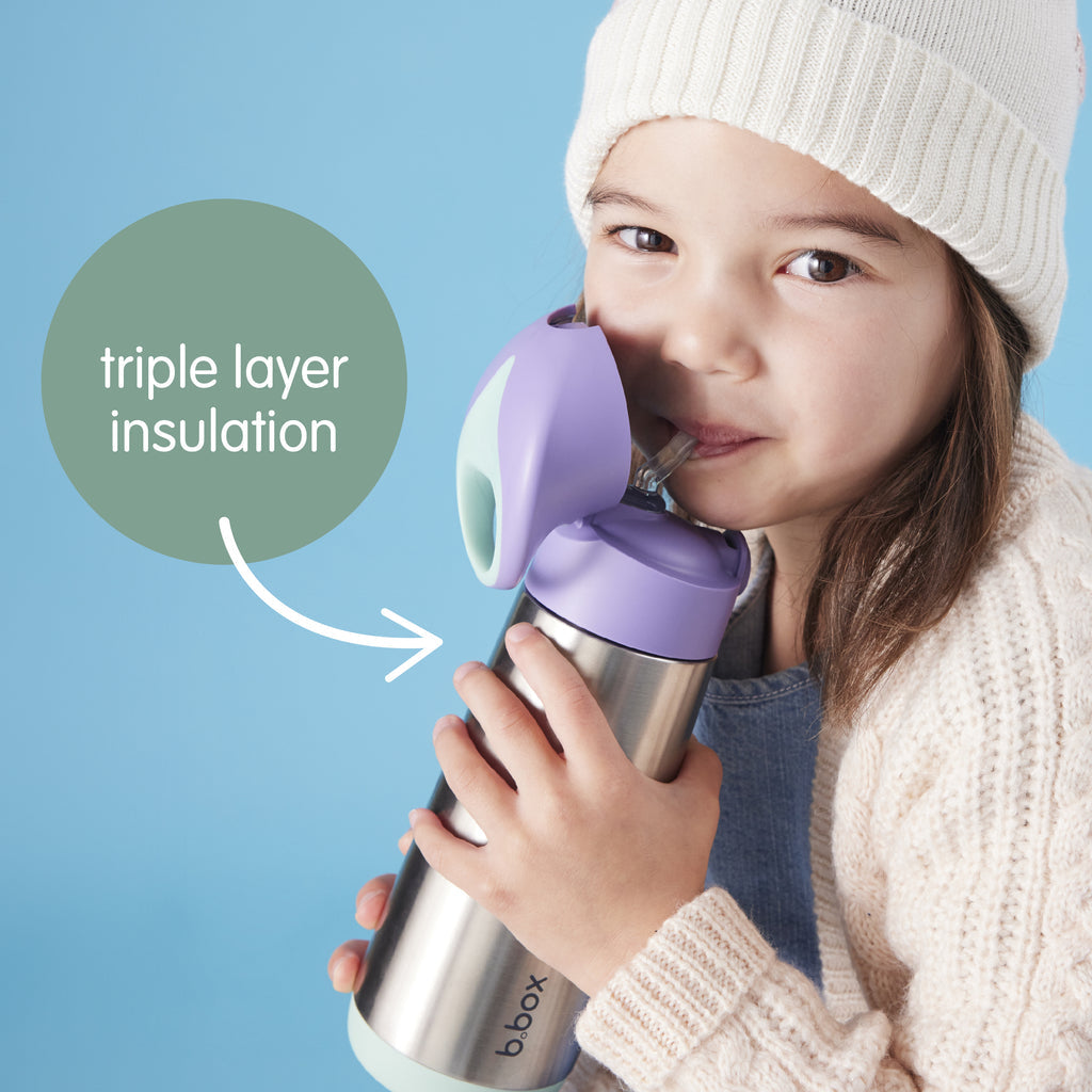 Bbox insulated stainless steel bottle 500ml