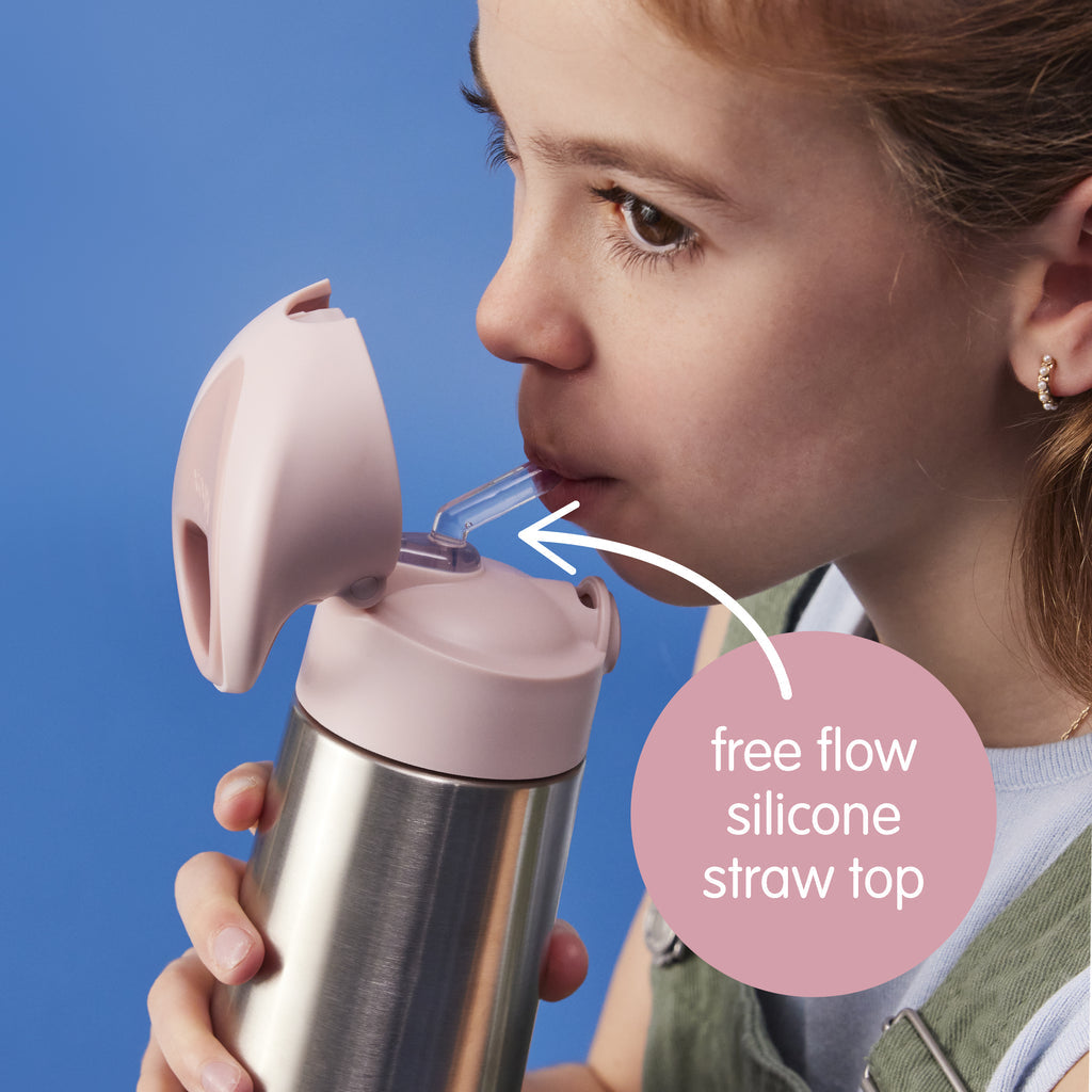 Bbox insulated stainless steel bottle 500ml