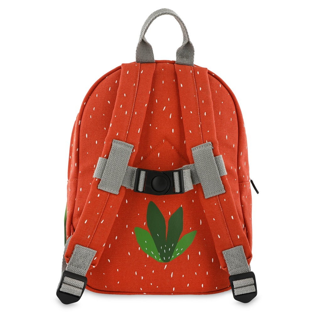 Backpack 12inch - Mr Parrot